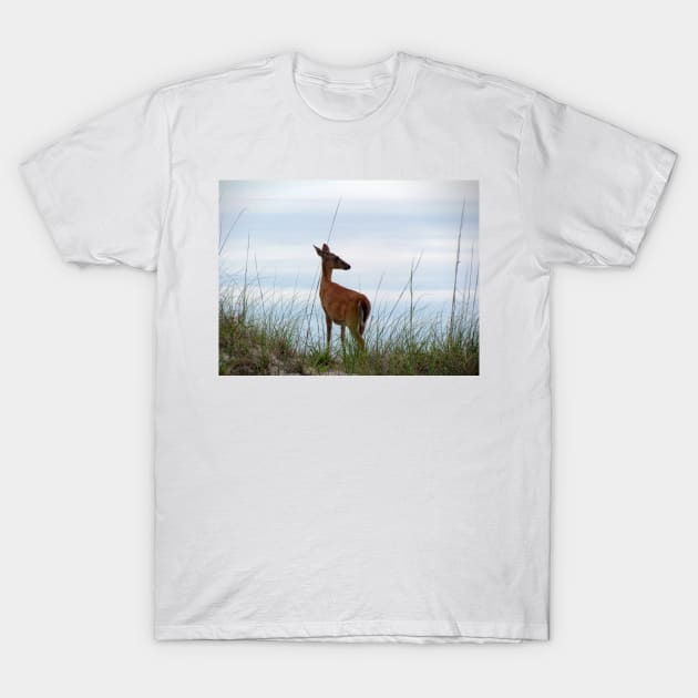 Deer Checking Out The Beach T-Shirt by Cynthia48